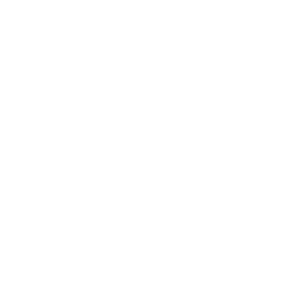 filmnaechte_logo_bildmarke_rgb_transparent-1
